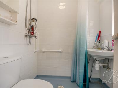 Picture 11